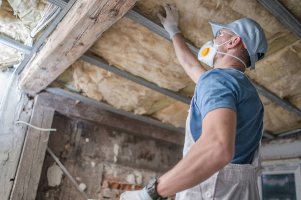 Best Attic Insulation Installation  in Tres Arroyos, NM