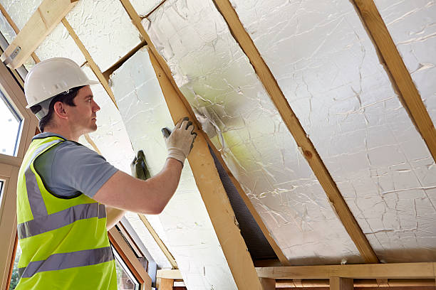 Best Energy-efficient Insulation  in Tres Arroyos, NM